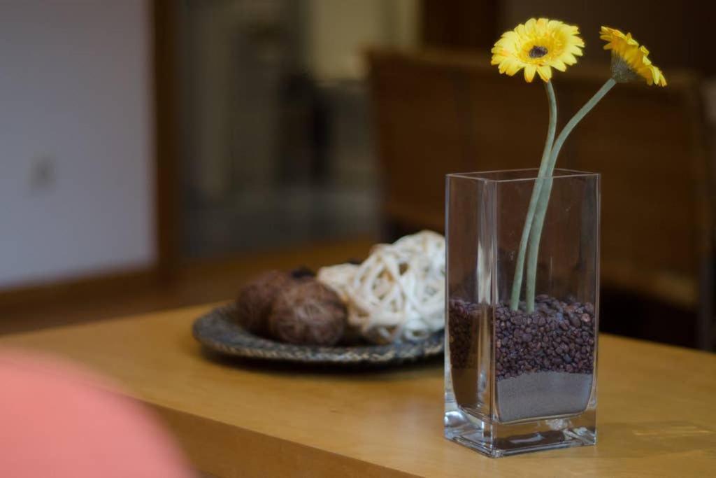 Ripoll Apartments Barcelona Bagian luar foto